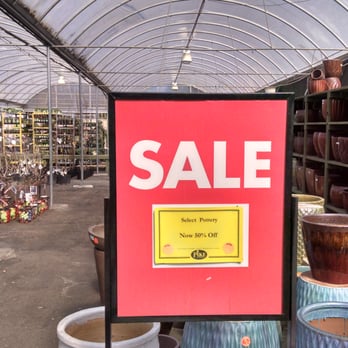 Pike Nurseries - A huge selection of planters at 50% off. - Nurseries & Gardening Near Me - Johns Creek, Georgia Pike Nurseries - A huge selection of planters at 50% off. - Nurseries & Gardening Near Me - Johns Creek, Georgia