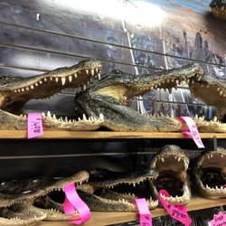Lacombe Gators Travel Center