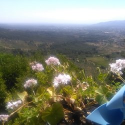 Da Severino - La vista sulla piana di Lucca da Severino a Matraia