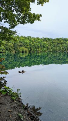 Green Lakes State Park by null