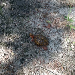 Estelle County Park - Found along the Purple Heart Trail.