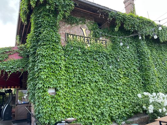 V Wine Cellar by null