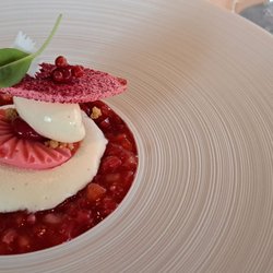 Restaurant Fred - Aardbei, rabarber, roze peper / Strawberry, rhubarb, pink pepper. 2023 05 01. M2.