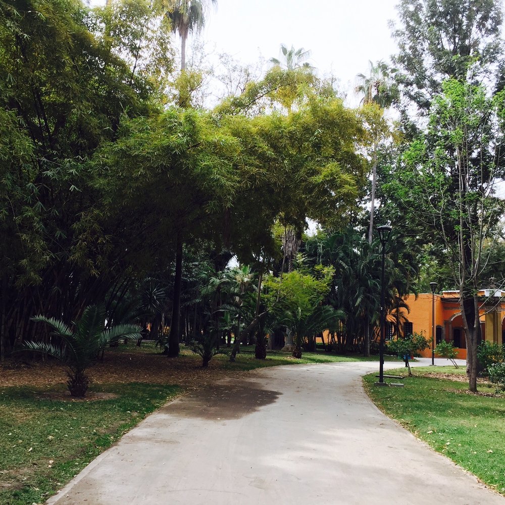Parque Agua Azul - Scenery - Skate Parks Near Me - Guadalajara, JAL