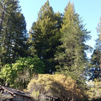 Regional Parks Botanic Garden at Tilden - Spring 2016 - Botanical Gardens Near Me - Berkeley, California