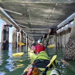 Kayaking under pier for sea stars and sea anemones Kayaking under pier for sea stars and sea anemones