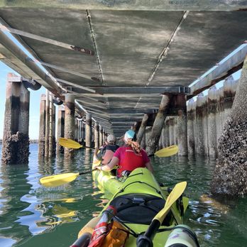 Ballard Kayak - Kayaking under pier for sea stars and sea anemones - Rafting/Kayaking Near Me - Seattle, Washington Ballard Kayak - Kayaking under pier for sea stars and sea anemones - Rafting/Kayaking Near Me - Seattle, Washington
