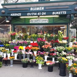Blumen Lippe