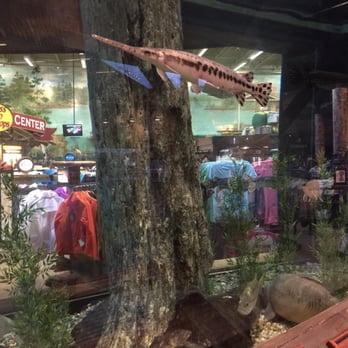 Bass Pro Shops - Freshwater Aquarium - Shoe Stores Near Me - Macon, Georgia Bass Pro Shops - Freshwater Aquarium - Shoe Stores Near Me - Macon, Georgia