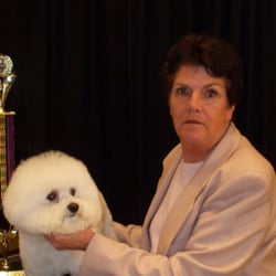 Carol's Dog Grooming - BEST IN SHOW GROOMING A BISHON