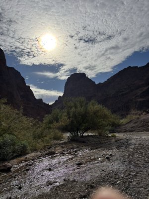 Desert Adventures by null