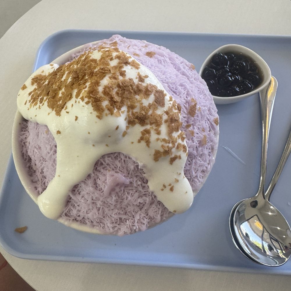 D For Dessert - Taro Shaved Ice Cheese Foam Boba and pudding - Shaved Ice Near Me - Hollywood, Florida D For Dessert - Taro Shaved Ice Cheese Foam Boba and pudding - Shaved Ice Near Me - Hollywood, Florida