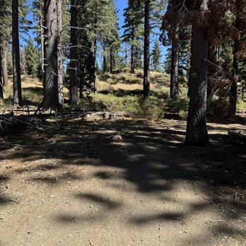 Pine Nut Ebike Rentals - Bike Rentals Near Me - South Lake Tahoe, California
