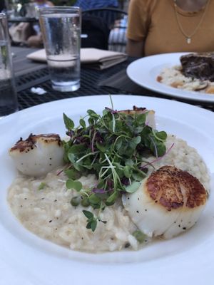 Sermet's Courtyard by null