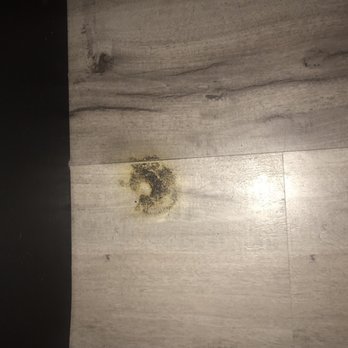 Coronado Motel - I have no idea what this was on our floor. - Hotels Near Me - Long Beach, California