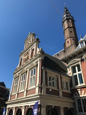 Town Hall Haarlem by null