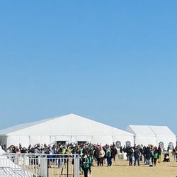 Shamrock Half Marathon - Party tent