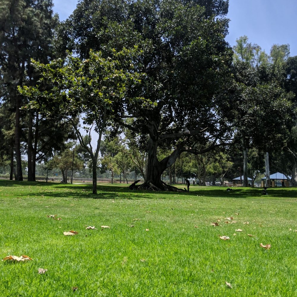 John Anson Ford Park - Lots of shade - Parks Near Me - Bell Gardens, California John Anson Ford Park - Lots of shade - Parks Near Me - Bell Gardens, California