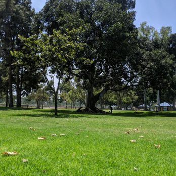 John Anson Ford Park - Lots of shade - Parks Near Me - Bell Gardens, California John Anson Ford Park - Lots of shade - Parks Near Me - Bell Gardens, California