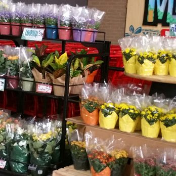 Trader Joe's - Flowers all over the place - Grocery Near Me - Charlotte, North Carolina