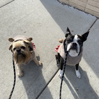 Bark N Unity - Pet Sitting Near Me