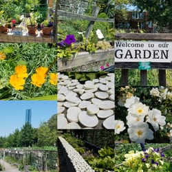 Berkeley Community Garden - I obviously enjoyed my stroll through the garden