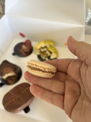 Artelice Pâtisserie by null