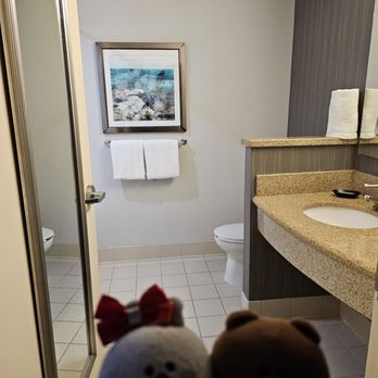 Courtyard by Marriott Middletown Goshen - Clean bathroom - Hotels Near Me - Middletown, New York