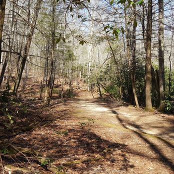 Hemlock Falls Trail - Hiking Near Me - Clarkesville, Georgia