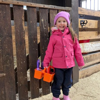Celestine Stables - Brushing time! - Horseback Riding Near Me - Vaudreuil-Dorion, Quebec