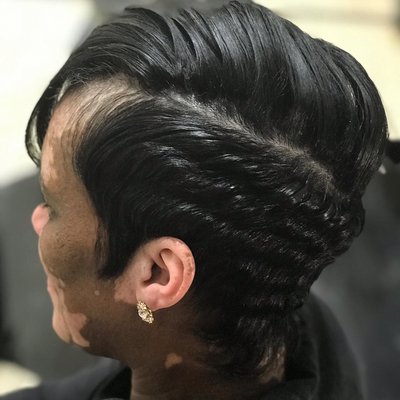 Shorthair - Shorthaircut Shorthair - Shorthaircut