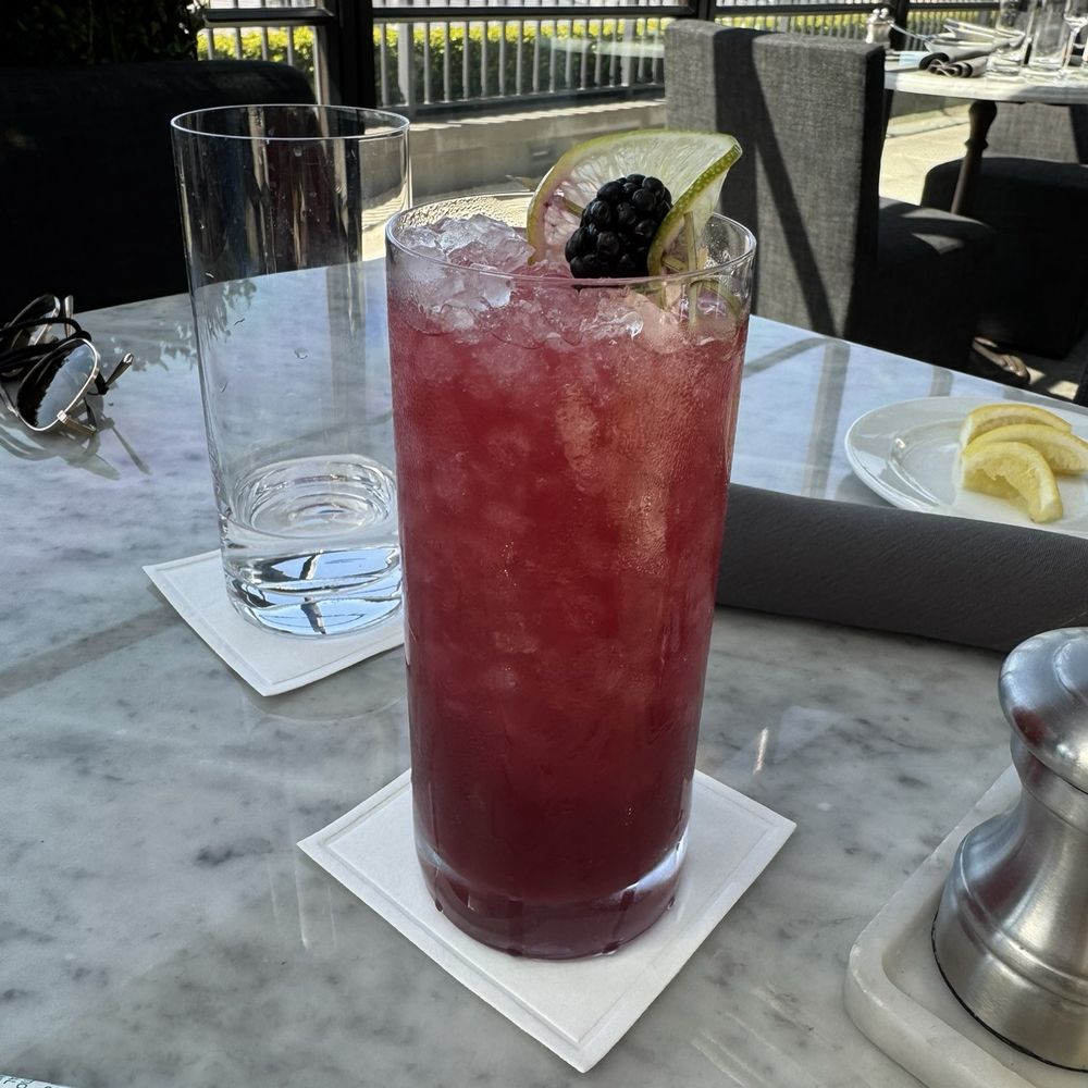 RH Rooftop Restaurant at RH Marin - Blackberry mule - lovely drink - American Near Me - Corte Madera, California RH Rooftop Restaurant at RH Marin - Blackberry mule - lovely drink - American Near Me - Corte Madera, California