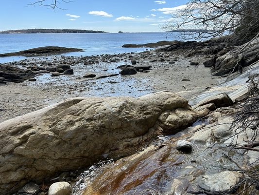 Wolfe's Neck Woods State Park by null