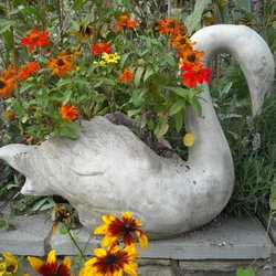 Garden Of Stone
