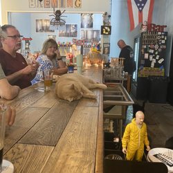 Y Bridge Brewing Company