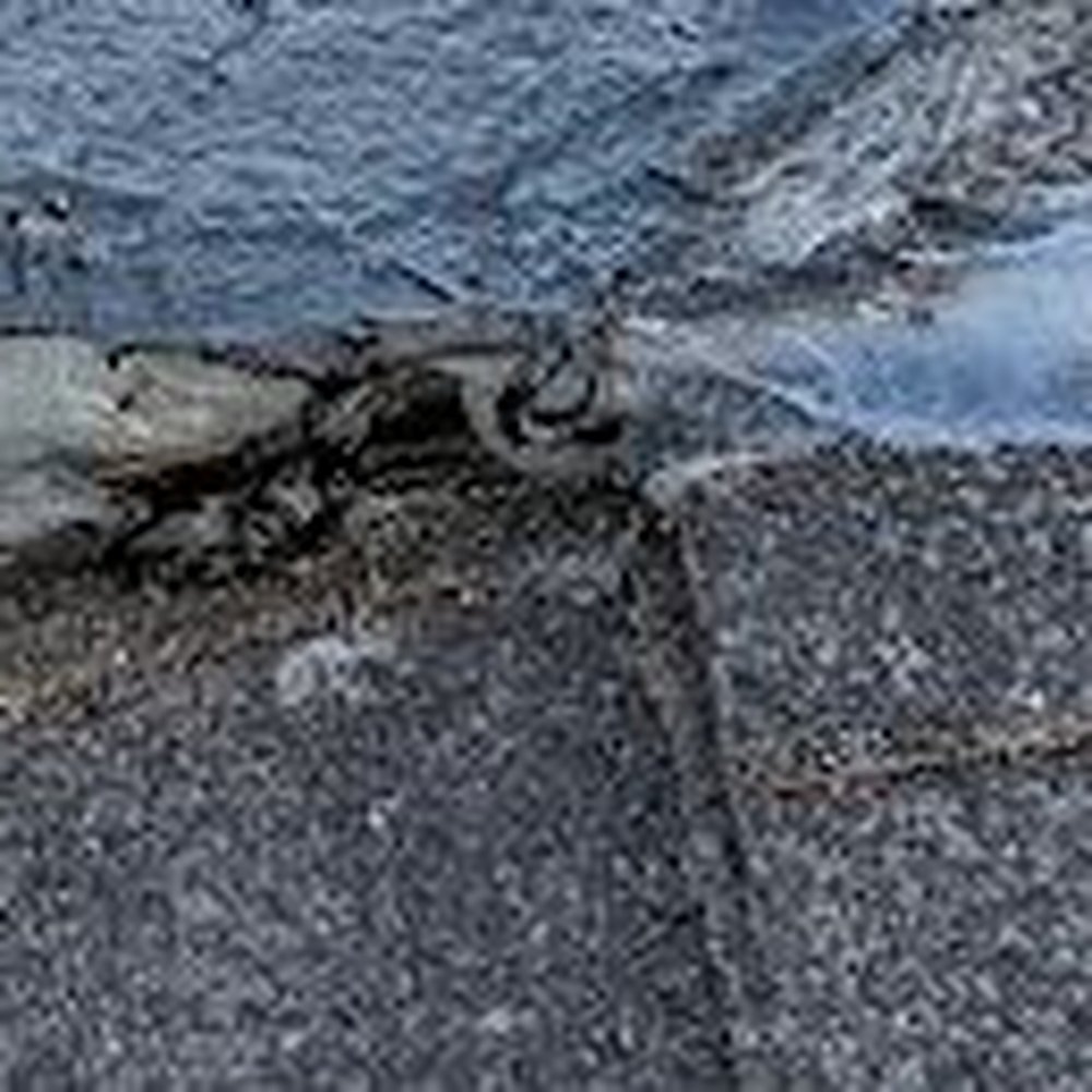 Tri-City Roofing - Roof Inspectors Near Me - Fremont, California Tri-City Roofing - Roof Inspectors Near Me - Fremont, California