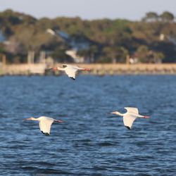 Southport By Seaside