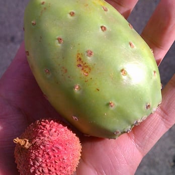 Green Apple Market - Half of my Latino breakfast. - Grocery Near Me - San Francisco, California Green Apple Market - Half of my Latino breakfast. - Grocery Near Me - San Francisco, California