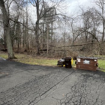 Leo's Tree Care - Tree Services Near Me