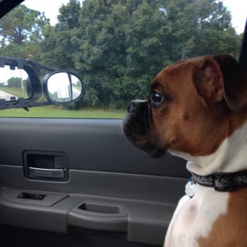Ed Reyes K9 Training - Pet Training Near Me - Chuluota, Florida Ed Reyes K9 Training - Pet Training Near Me - Chuluota, Florida