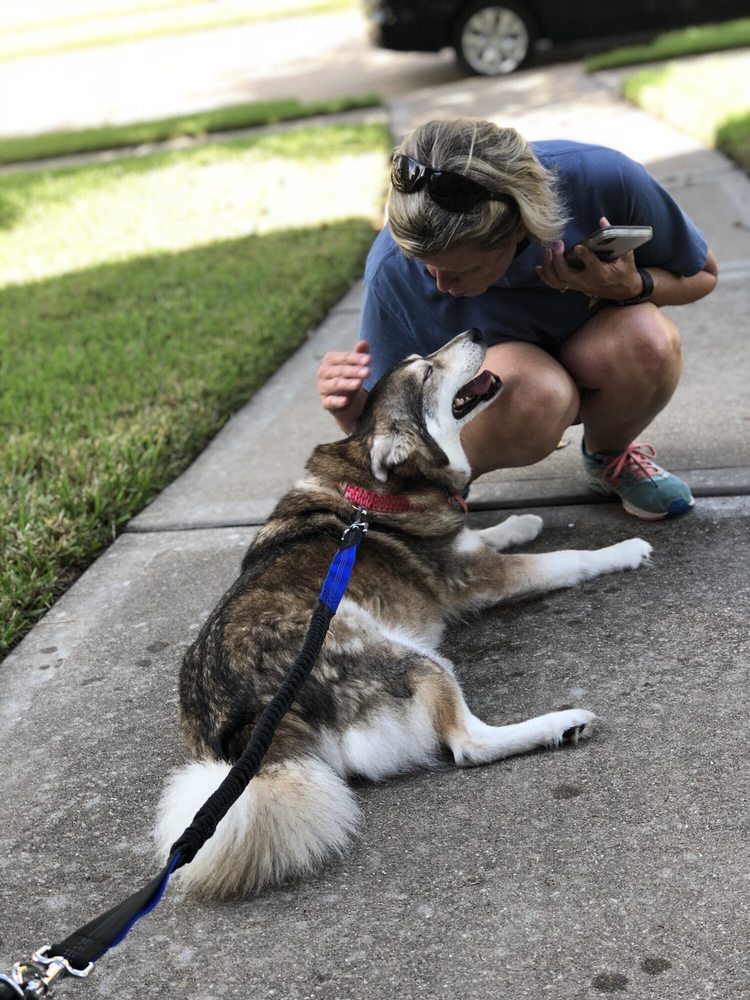 KATY CRITTER CARE HOME PET SITTING 29227 Jacobs River Dr, Katy, Texas