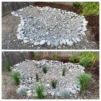 Drainage Masters - Second rain garden. This is the main basin that receives water from the east side of my house and driveway. - Plumbing Near Me - Battle Ground, Washington