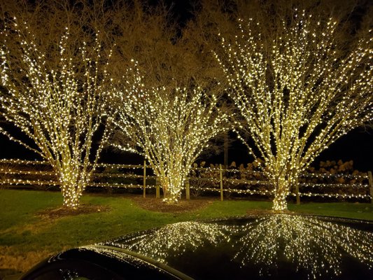 Homestead Gardens by null