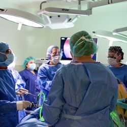 Camran Nezhat Institute, Minimally Invasive & Robotic Surgery