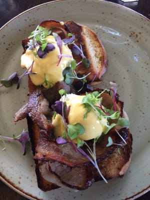 Waihi Beach Hotel by null