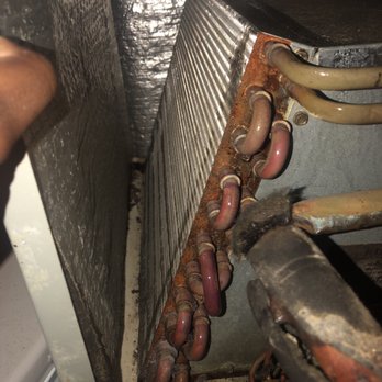 D-Vet Maintenance Services - A unit no longer frozen over, allowing air to flow freely. - Heating & Air Conditioning/HVAC Near Me