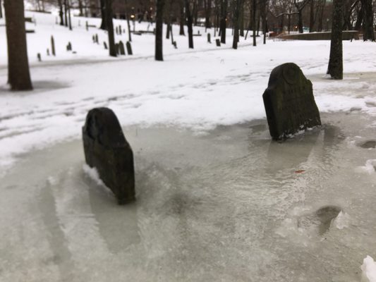 Loyalist Burial Ground by null