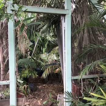 Jungle Music Palms & Cycads - Nurseries & Gardening Near Me - Encinitas, California Jungle Music Palms & Cycads - Nurseries & Gardening Near Me - Encinitas, California