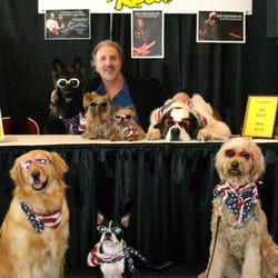 Mr O's K-9 Dog Training - Mr. O's celebrity dogs with Joe Grushecky