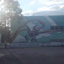 Cressida Danza Contempóranea - Academia Créssida